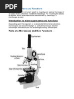 Microscope Parts and Functions