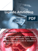 Presentacion Liquido Amniotico 97 2003