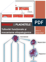 Curs 3 - FP II - 2016-2017 PDF