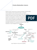 Choline and Choline Metabolites