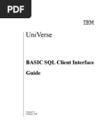 IBM Universe BCI