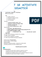 PROIECT DE ACTIVITATE DIDACTICĂ Iarna Grad 1