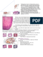 Female Reproductive System