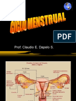 Ciclo+Menstrual[1]