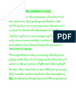 Process of the Carbon Cycle