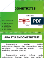 Endometritis: Penyebab, Gejala, Diagnosa dan Pengobatan