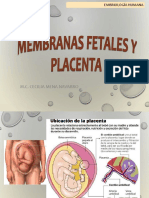 Semana 7 - Membranas Fetales y Placenta