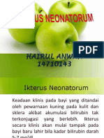 Icterus AwanK