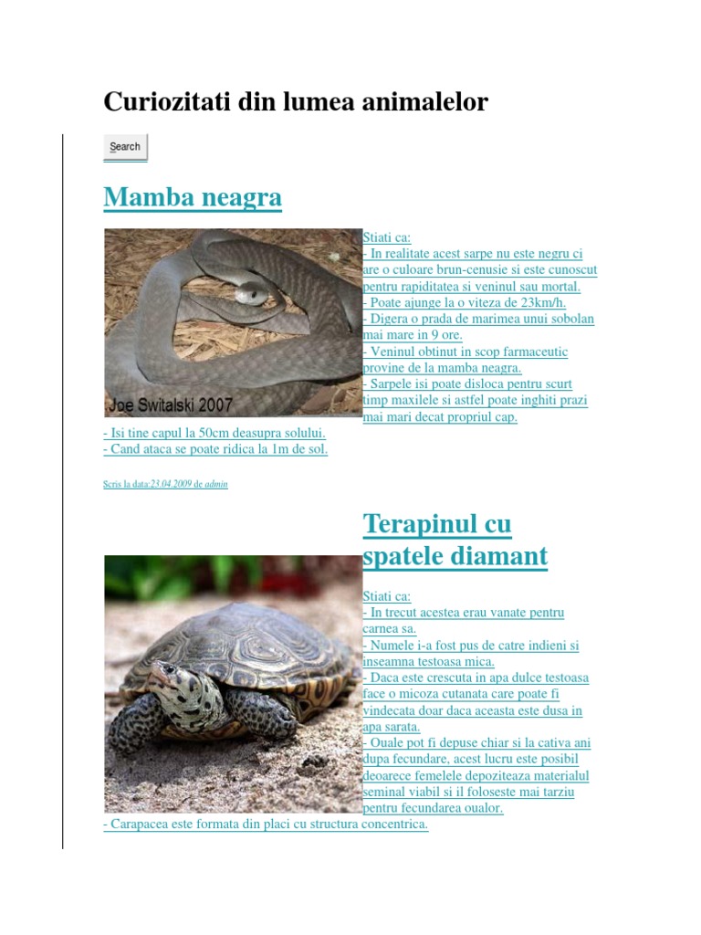 Curiozitati Din Lumea Animalelor