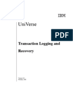 IBM Universe Translog