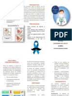 Triptico Cancer de Prostata