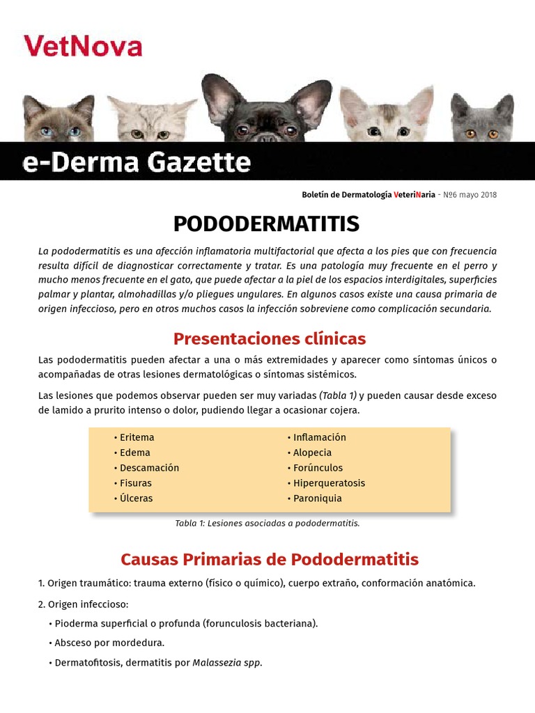 Pododermatitis en perros y gatos | PDF | Infección | Inflamación
