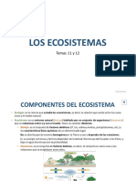 Tema 11 y 12 Los Ecosistemas. Naturales.1º ESO