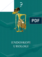 Endoskopi Urologi