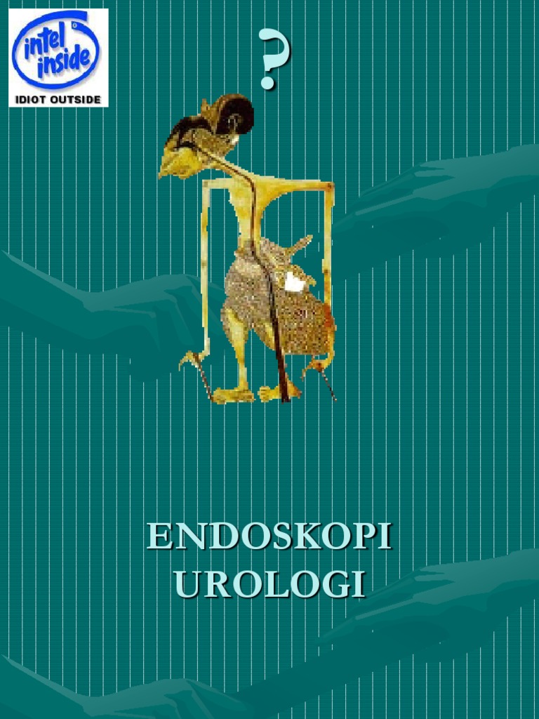 Endoskopi Urologi PDF