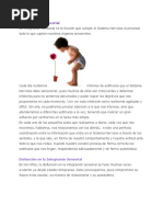 La Integración Sensorial.docx