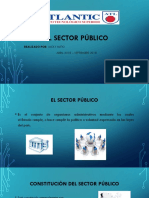 El Sector Publico