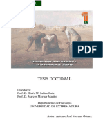Tesis Doctoral - Accidentes de Trabajo Agricola provincia de Caceres.pdf