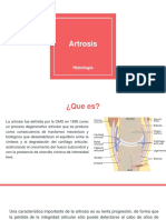 Artrosis, Histología