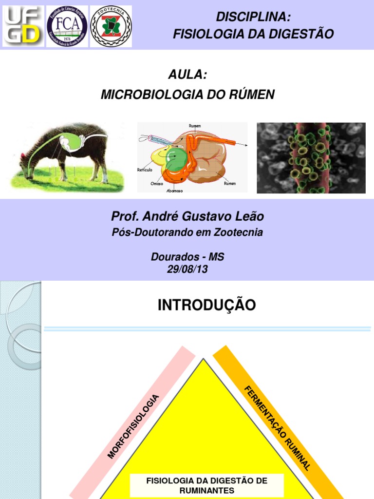 Aula - Microbiologia Do Rúmen | Microrganismo | Bactérias