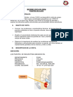 248708562-Informe-Visita-de-Obra-Puente-Ilave.docx