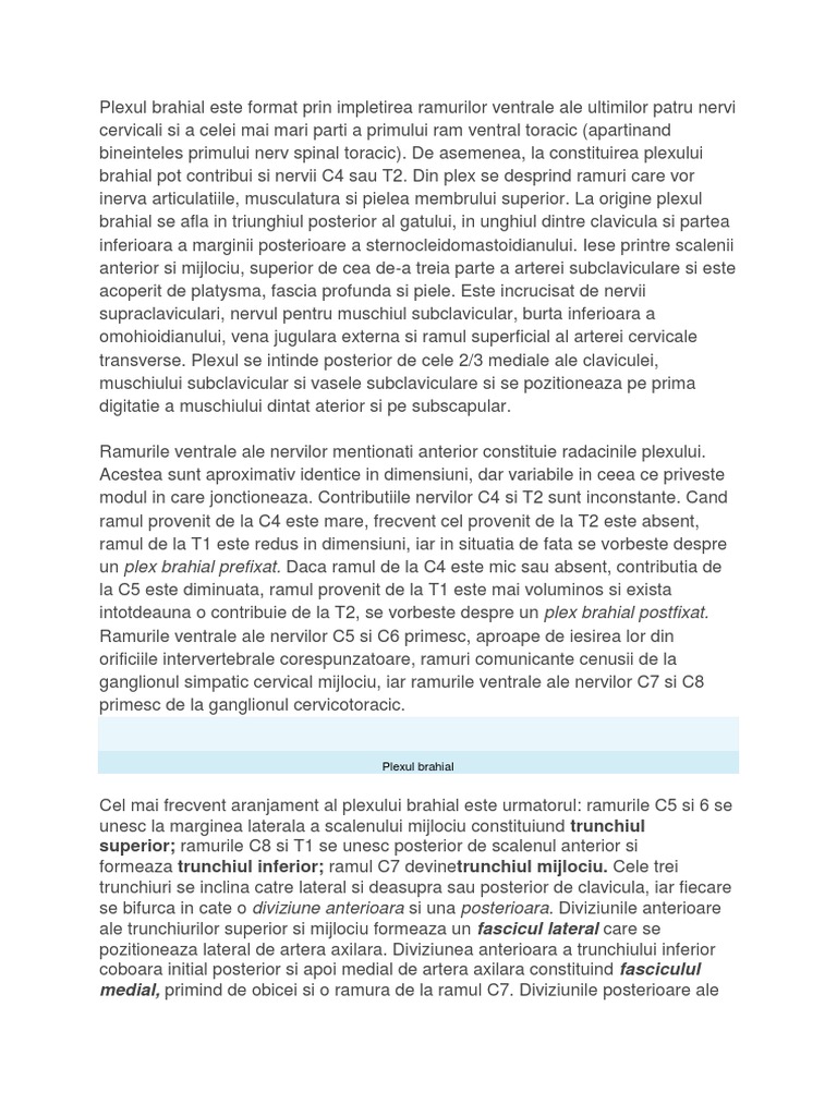 Plex Brahial | PDF