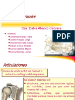12dolor-Articular470 (PPTshare)