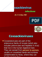 Coxsackievirus 090918203252 Phpapp01