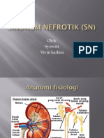 Sindrom Nefrotik