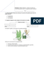 Rubrica para Evaluar CCNN