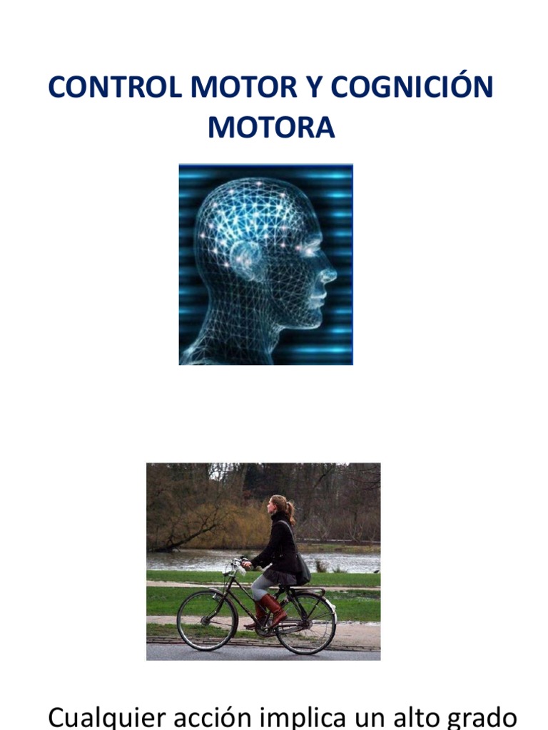 Control Motor y Cognición Motora PDF Materia gris Cerebelo