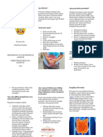 Leaflet Peritonitis