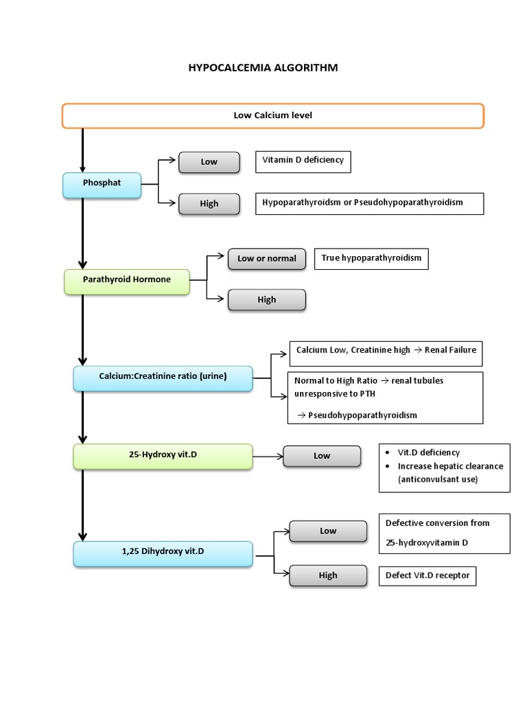 Hypocalcemia Diagnosis and Treatment Algorithm | PDF