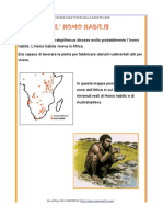 Homo Habilis PDF