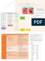 (Fix) Pathway Bronkitis PDF