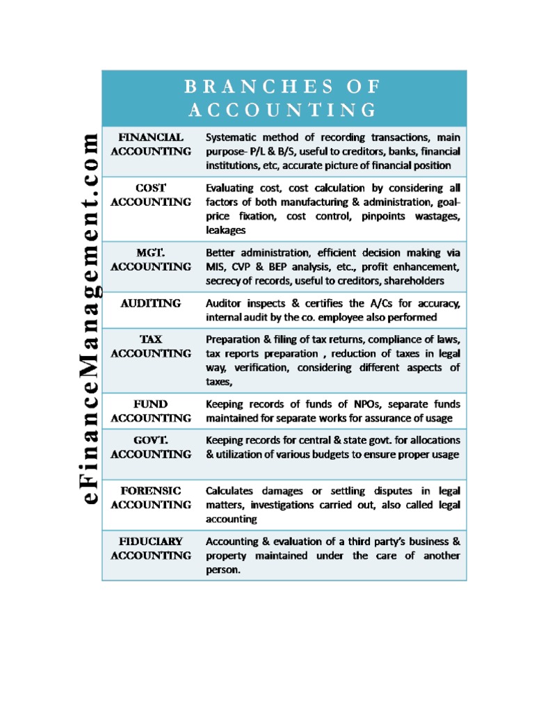 Limitations of Financial Accounting PDF Financial Audit Cost