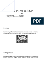 Treponema Pallidum
