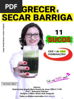 11 Receitas Sucos Detox