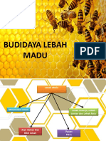 Budidaya Lebah Madu Fix 1