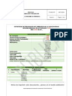 F2.mo5 .PP Formato Modelo Informe de Actividades v1