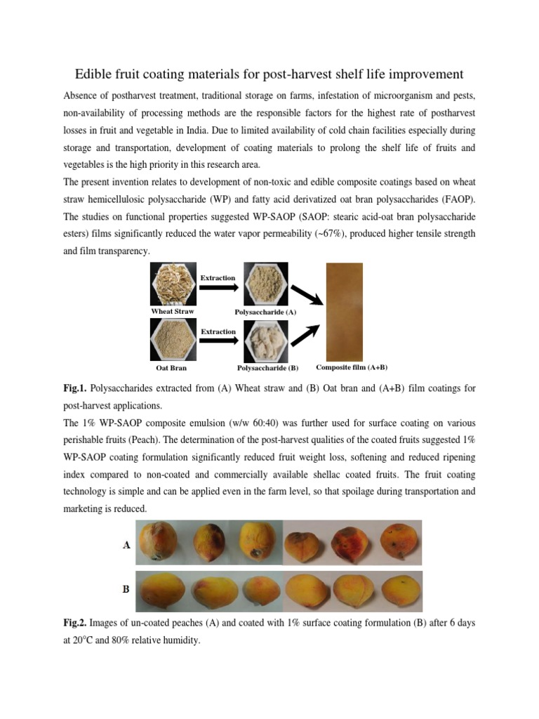 Edible Coatings for Fruit Shelf Life | PDF | Science & Mathematics