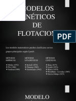 Cinética Del Proceso de Flotacion 3