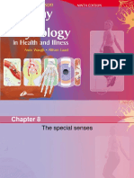 Chapter 8 The Special Senses