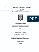 Análisis Comparativo Uso de Bambú vs. Perfiles de Acero para Cobertura Liviana