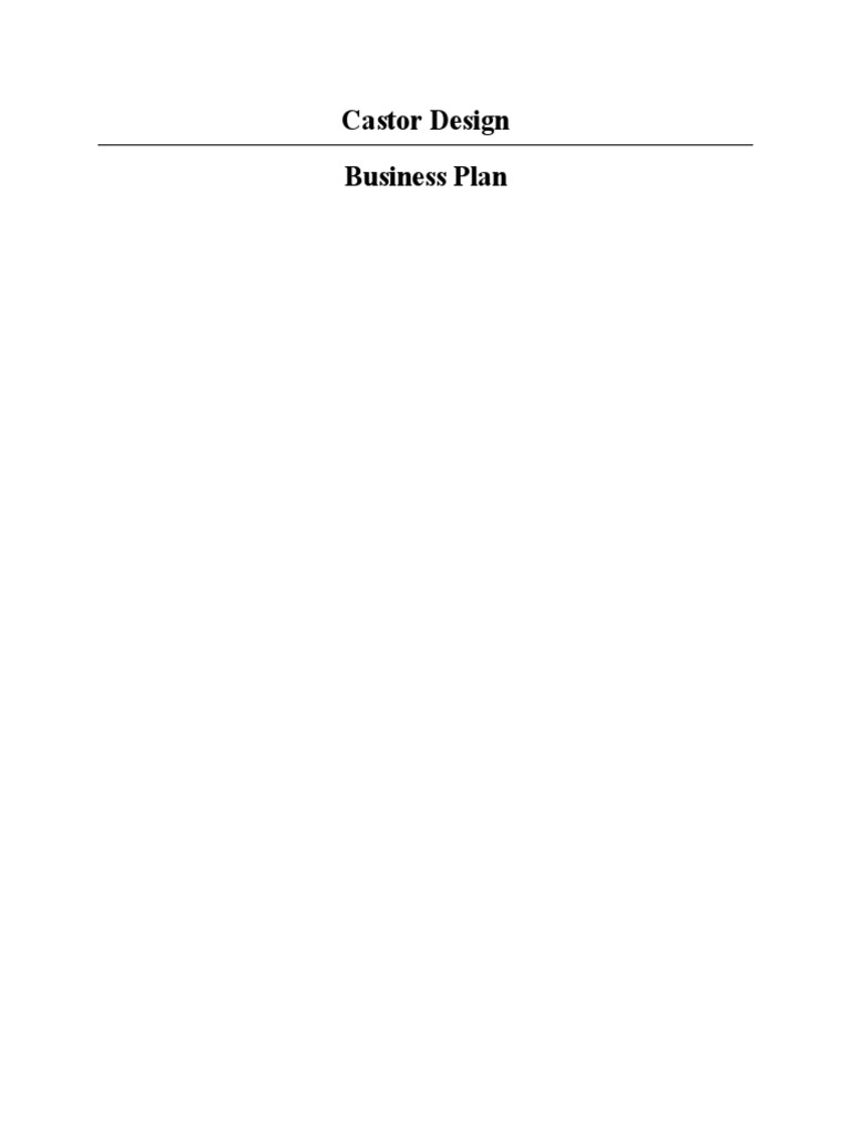 Castor Design Final Business Plan PDF PDF Promotion (Marketing