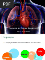 Anatomia EF 2013 Módulo Anatomia Respiratório