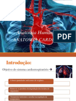 Anatomia EF 2014 Módulo Cardiovascular