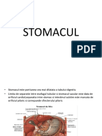Stomacul