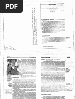 Bock, Furtado e Teixeira - A Psicologia Social