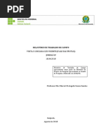 RELATÓRIO - Disciplina Profª Rosa Ester - Marcel Di Angelis